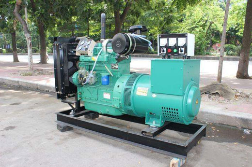 鸡冠发电机不发电的原因 鸡冠发电机不发电的原因